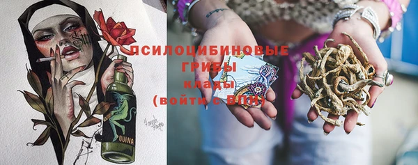 трава Саяногорск