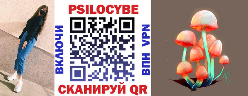Купить где  Таштагол  Псилоцибиновые грибы MAGIC MUSHROOMS 