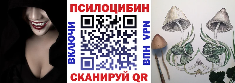Галлюциногенные грибы Psilocybe Таштагол